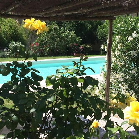 Agriturismo Lupo Vecchio Гроссето Экстерьер фото