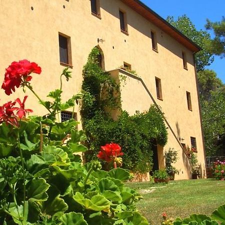 Agriturismo Lupo Vecchio Гроссето Экстерьер фото