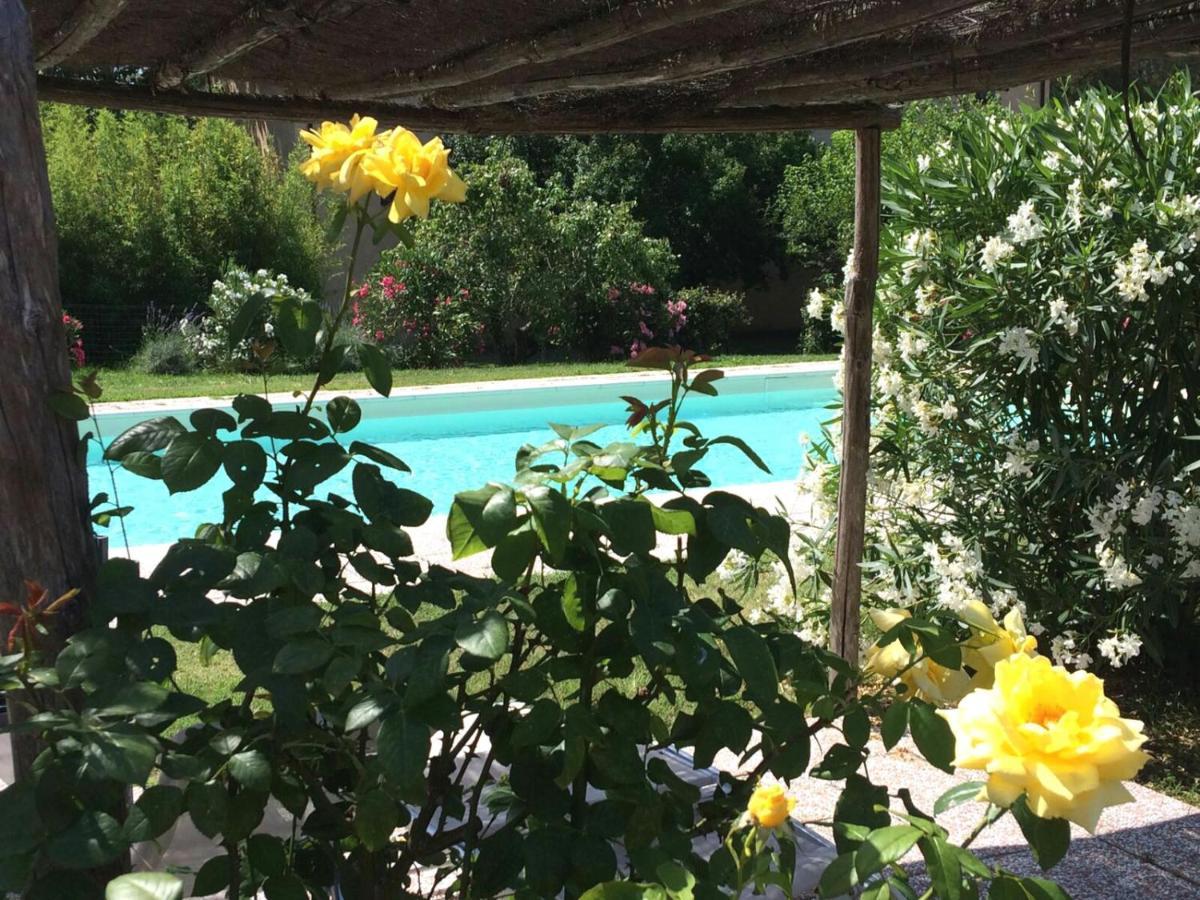 Agriturismo Lupo Vecchio Гроссето Экстерьер фото