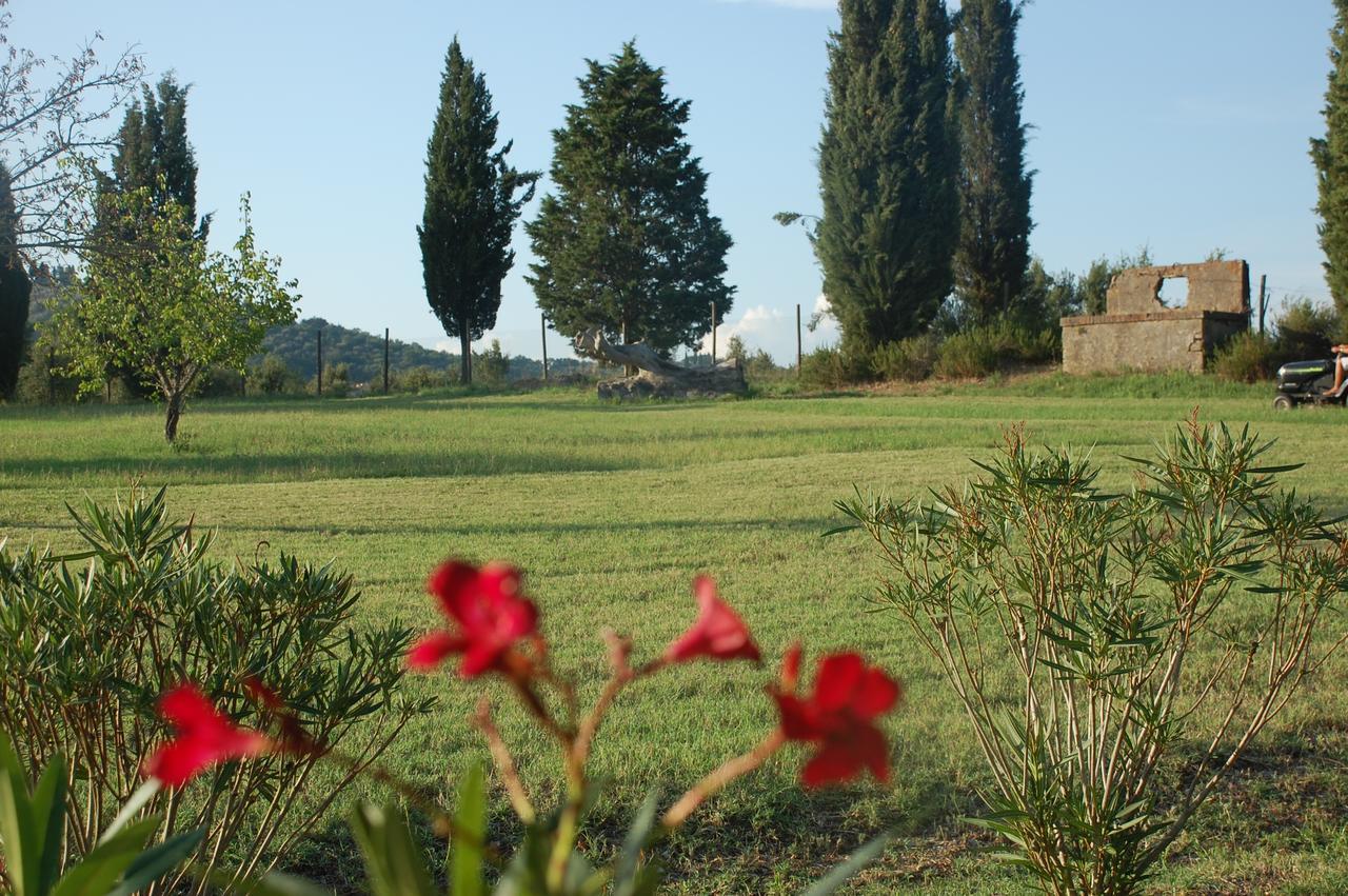 Agriturismo Lupo Vecchio Гроссето Экстерьер фото