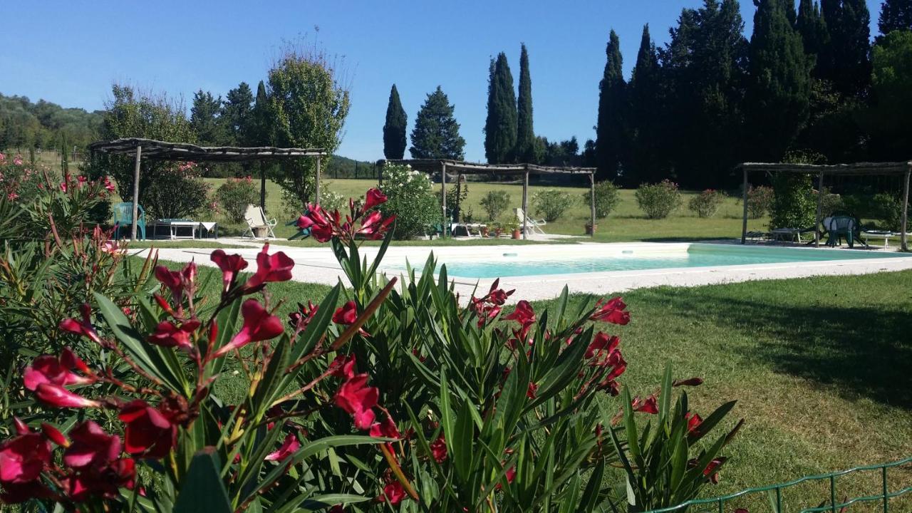 Agriturismo Lupo Vecchio Гроссето Экстерьер фото