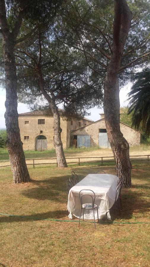 Agriturismo Lupo Vecchio Гроссето Экстерьер фото